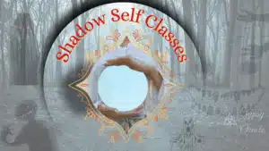 Shadow Self Classes